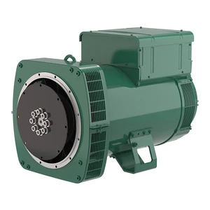 Leroy Somer LSA 46.3 Generator End
