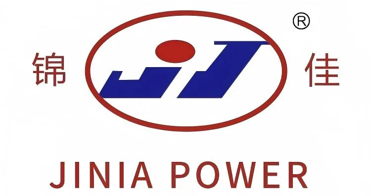 LEROY-SOMER | Voltage Regulator | Jinjia Power