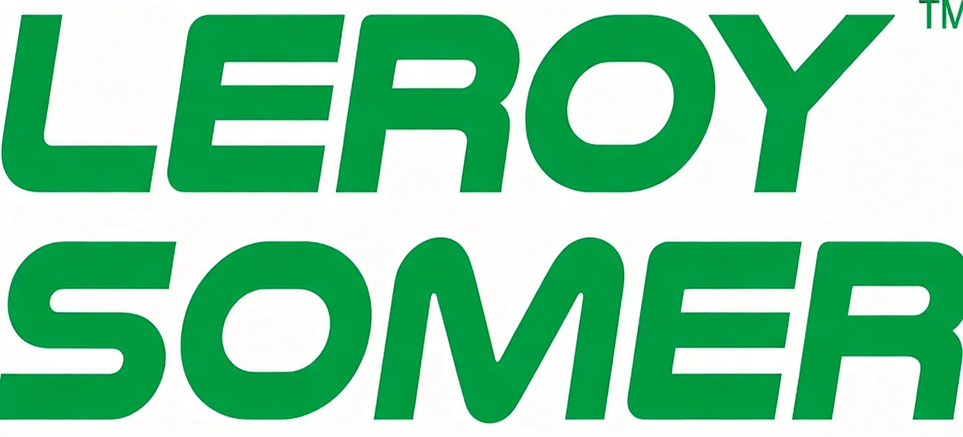 LEROY-SOMER | Voltage Regulator | Jinjia Power