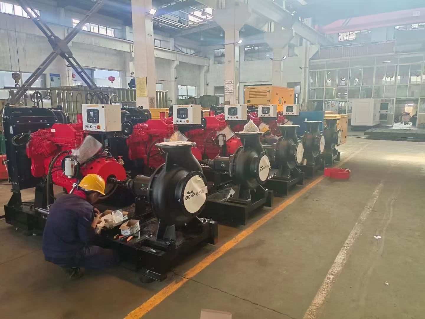 Diesel Pump Workshop